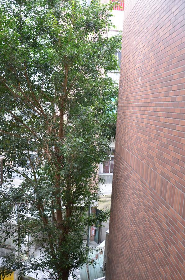 Hostel Of Rising Sun 昇行旅 Юнхэ Экстерьер фото